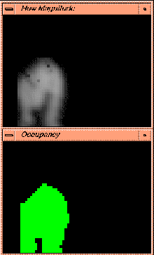 Image of optical flow field magnitude and figure/ground
	separation