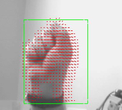 Real Time Optical Flow
